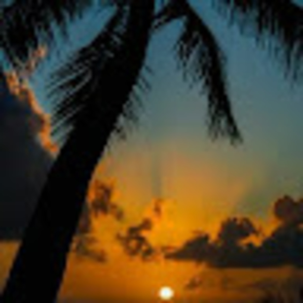 Meet your Posher, Eg